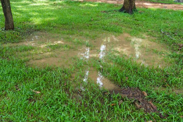 Storm Water Drainage Service in Frederick