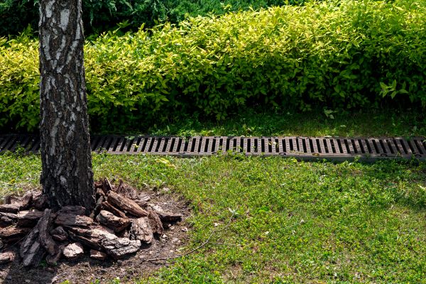 Garden Drainage Installation in Frederick