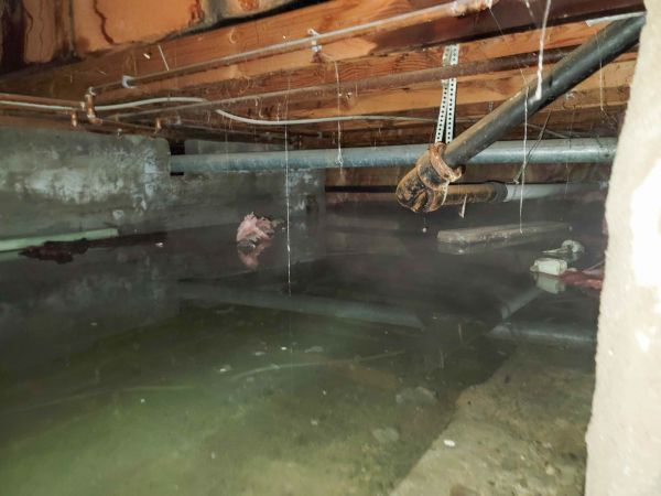 Cost of Crawlspace Drainage in Frederick