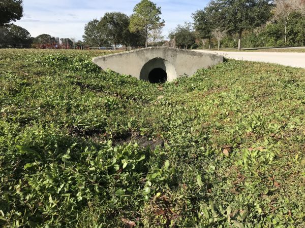 Cost of Swale Drainage Service in Frederick